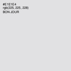 #E1E1E4 - Bon Jour Color Image